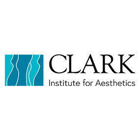 Clark Institute for Aesthetics